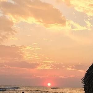 Meet your Posher, Iris